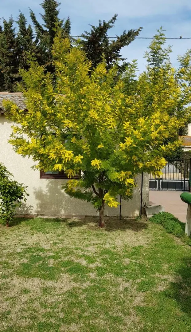 Hotel Longo Mai Arles